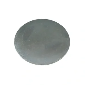 CG 250/280 Заглушка распредвала в блок (70 ММ) 6CT, ISLE 3901969 (3901969) — фото